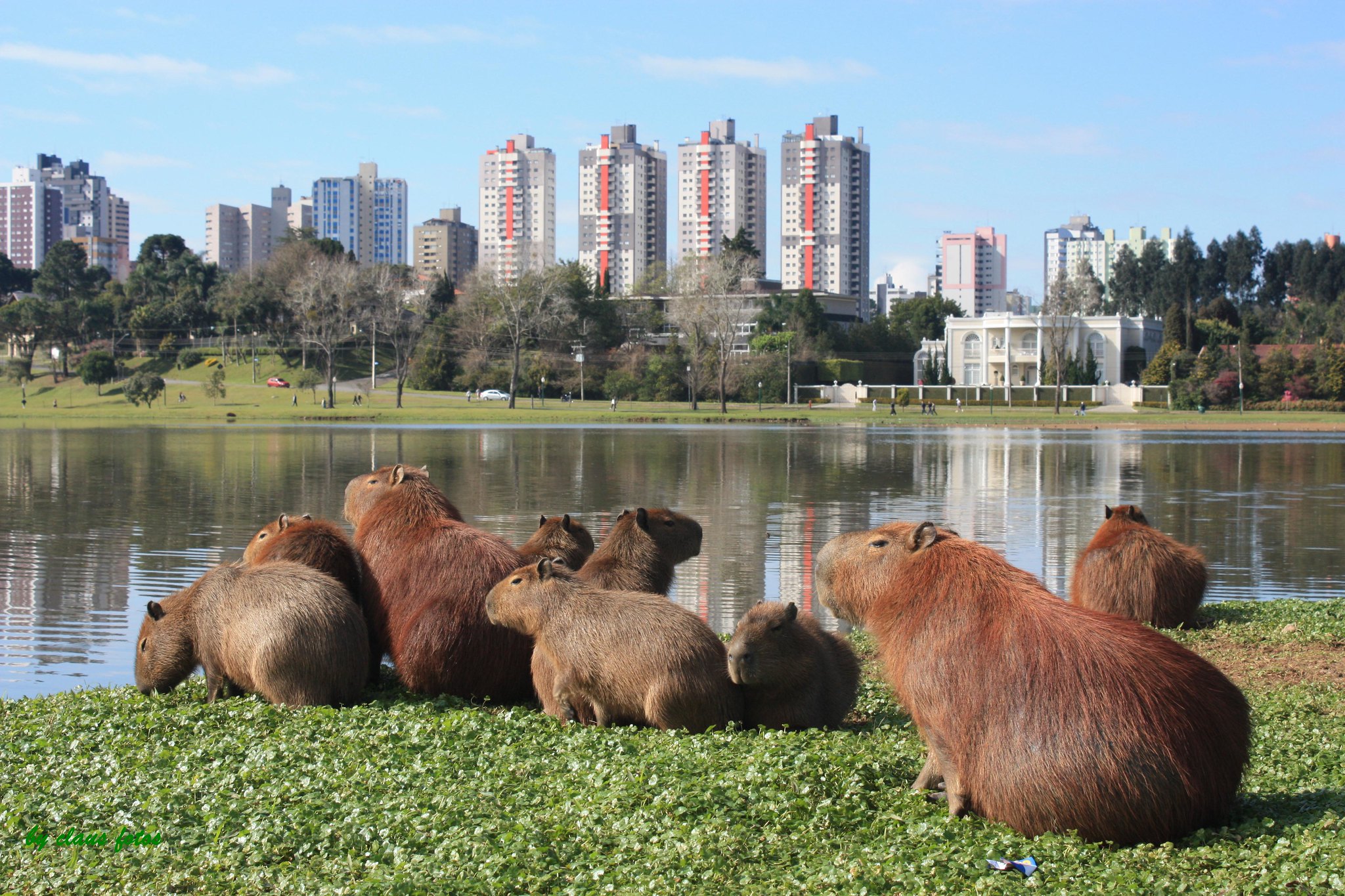 A importância das cidades para a preservação ambiental