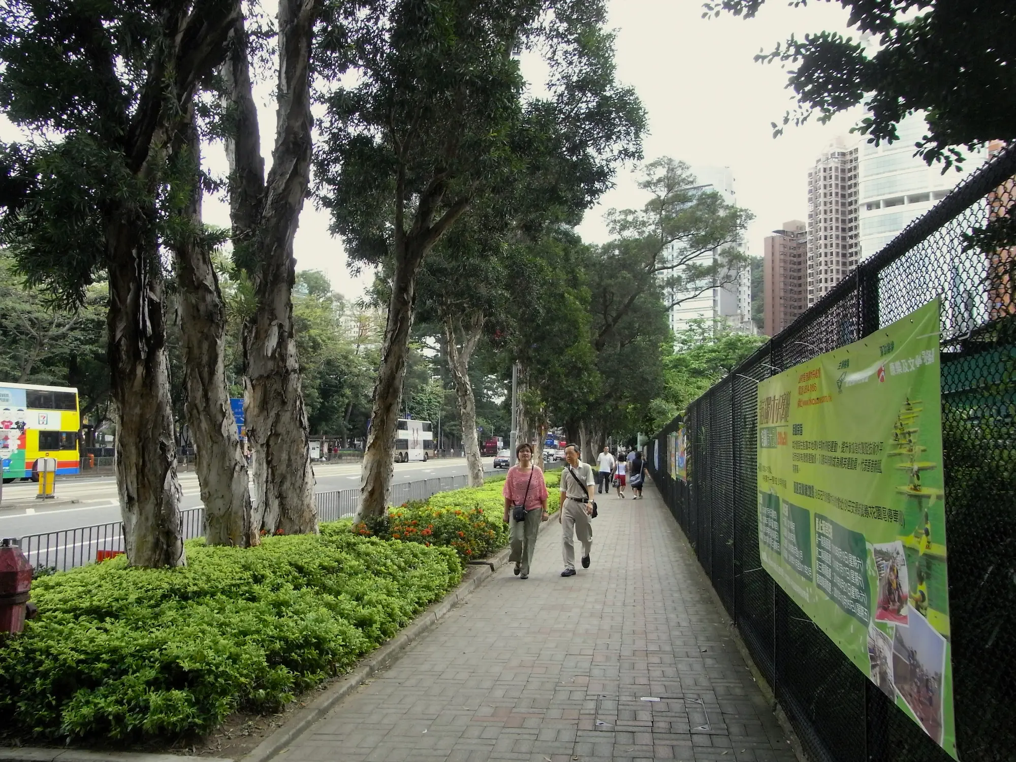 O valor da arborização urbana