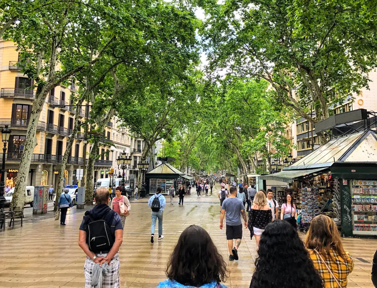 Arborização urbana: uma ferramenta para amenizar o calor